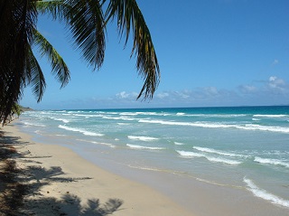 playa guacuco.jpg